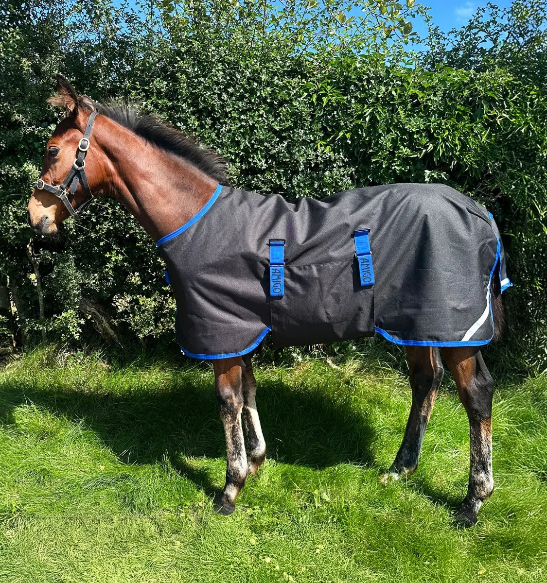 AMIGO® RIPSTOP 900D FOAL TURNOUT 200G