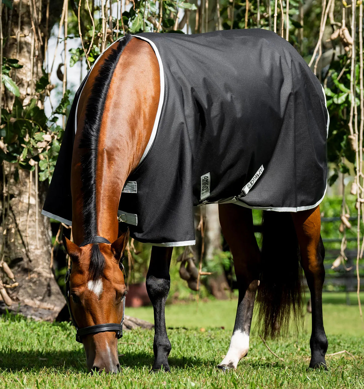AMIGO® RIPSTOP 900D QUARTER HORSE TURNOUT 200G