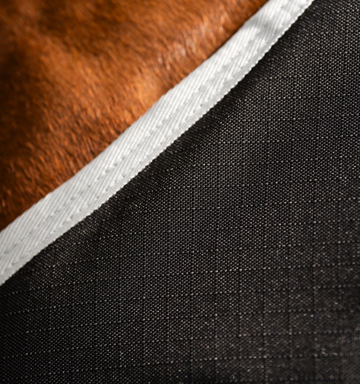 AMIGO® RIPSTOP 900D QUARTER HORSE TURNOUT 200G