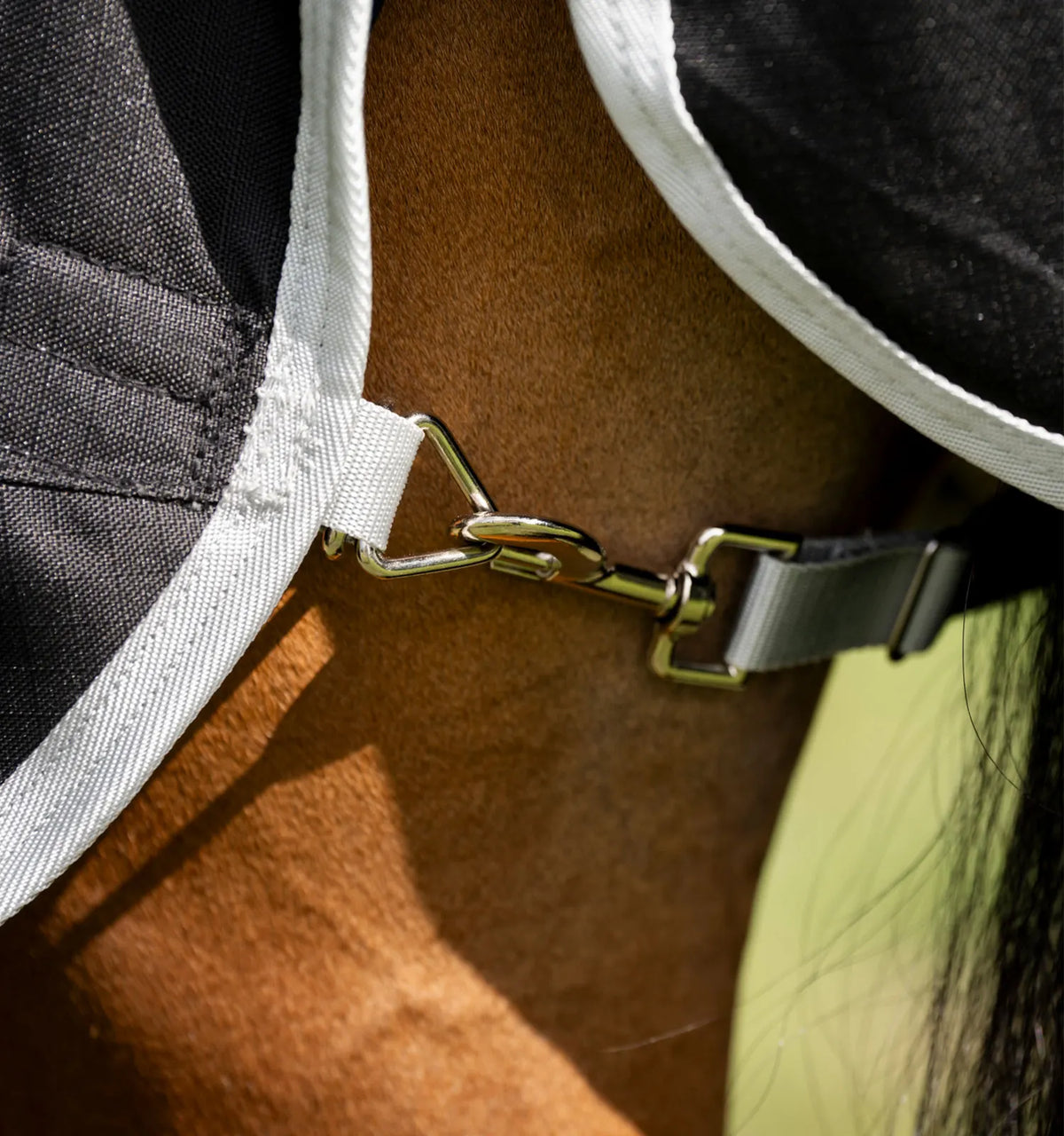 AMIGO® RIPSTOP 900D QUARTER HORSE TURNOUT 200G