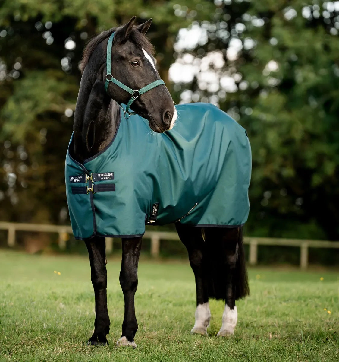 AMIGO® RIPSTOP 900D PONY TURNOUT 50G