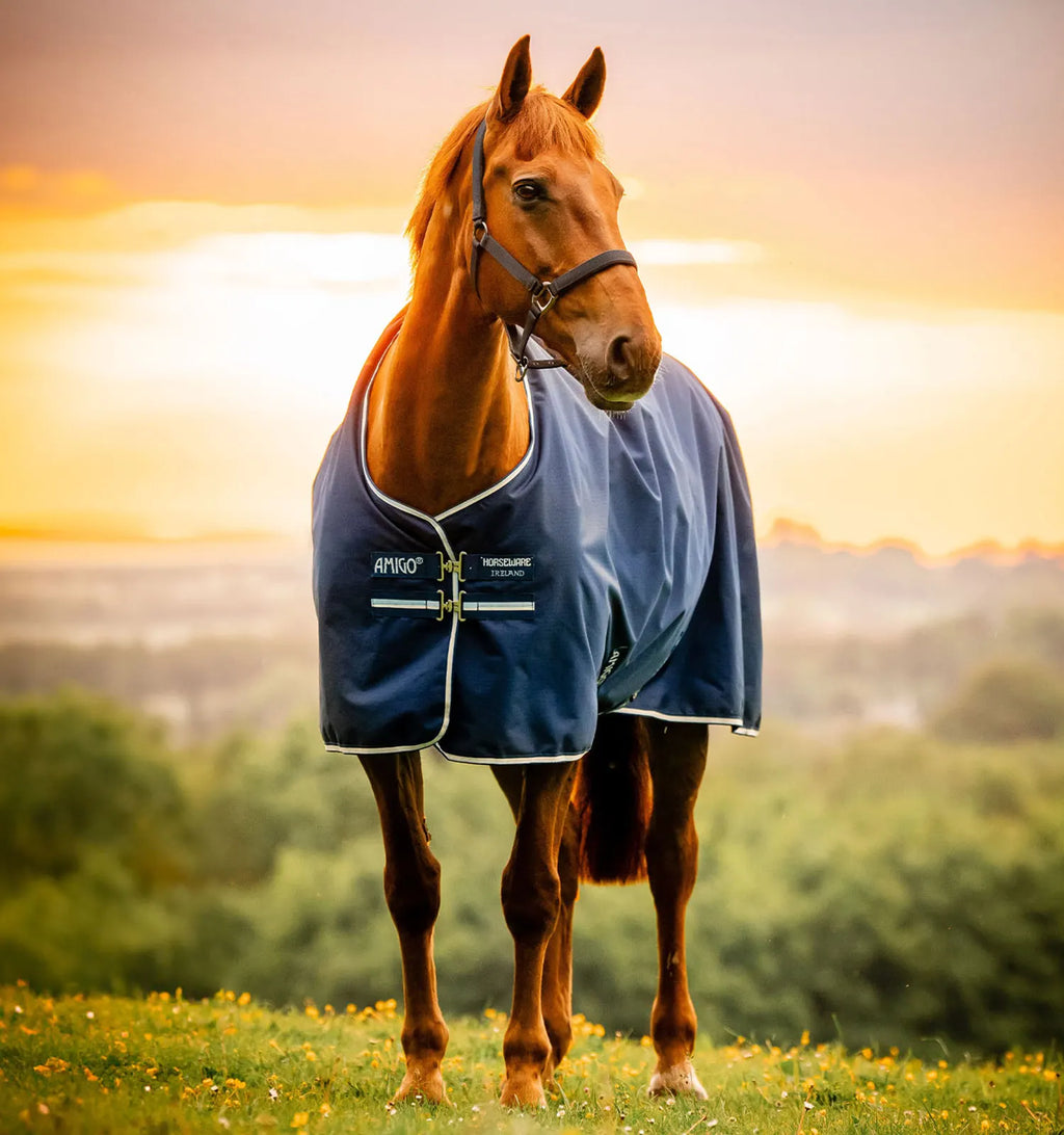 AMIGO® RIPSTOP 900D PONY TURNOUT 50G