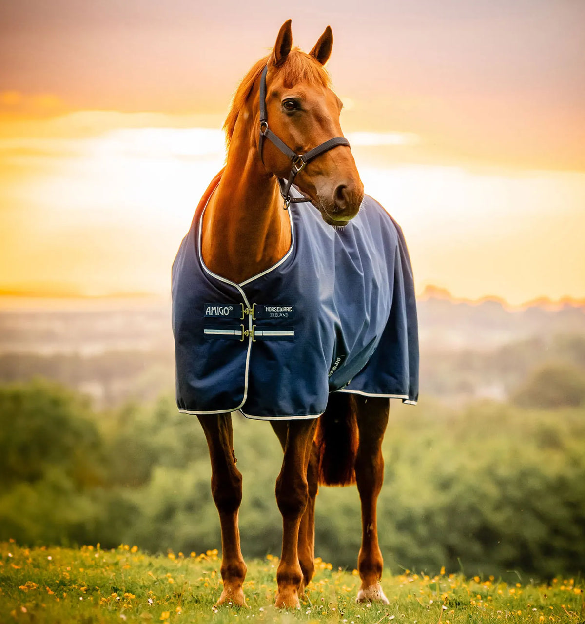 AMIGO® RIPSTOP 900D PONY TURNOUT 50G
