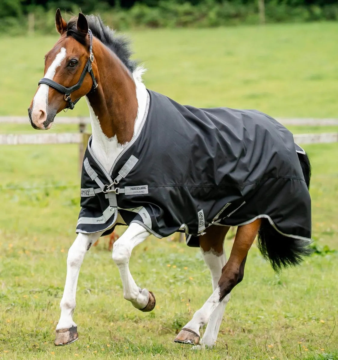 AMIGO® BRAVO 12 XL TURNOUT 0G