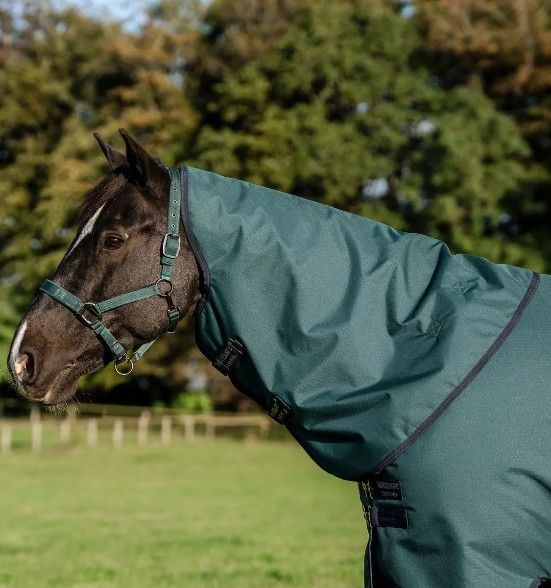 AMIGO® RIPSTOP 900D TURNOUT HOOD 150G