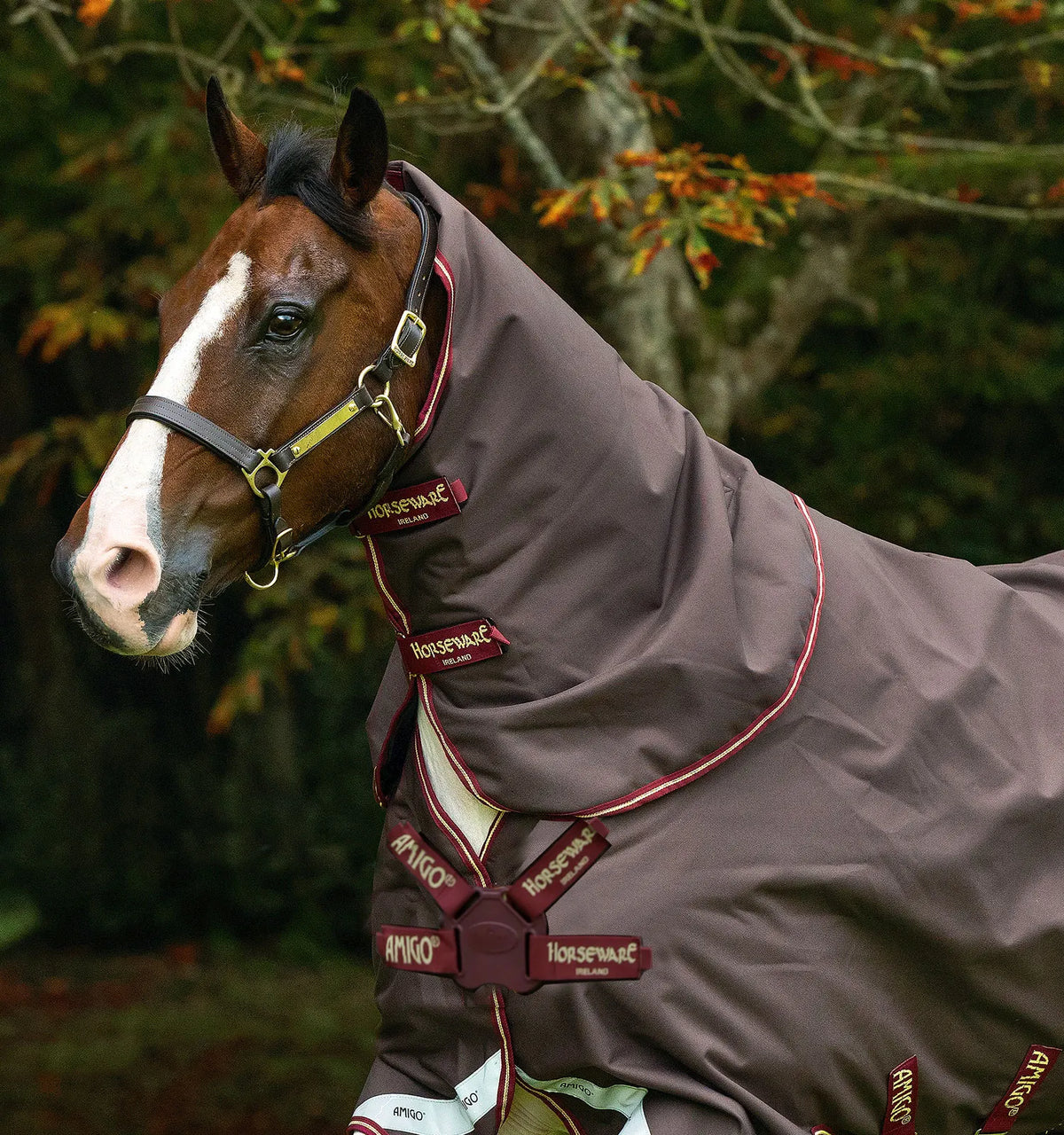 AMIGO® 1200D TURNOUT HOOD 0G