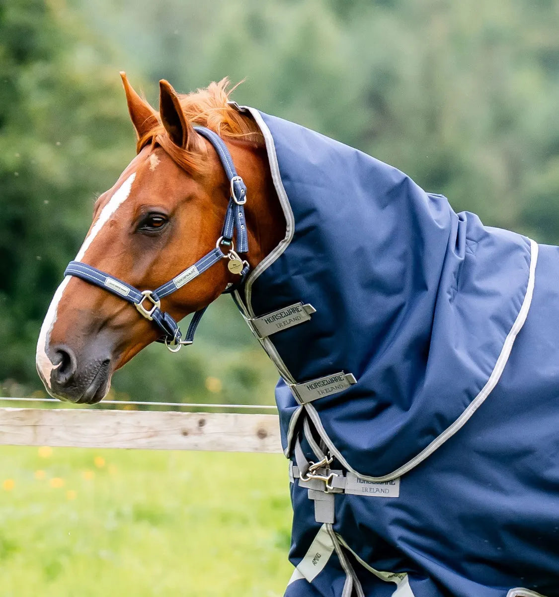AMIGO® BRAVO 12 ORIGINAL HOOD 150G