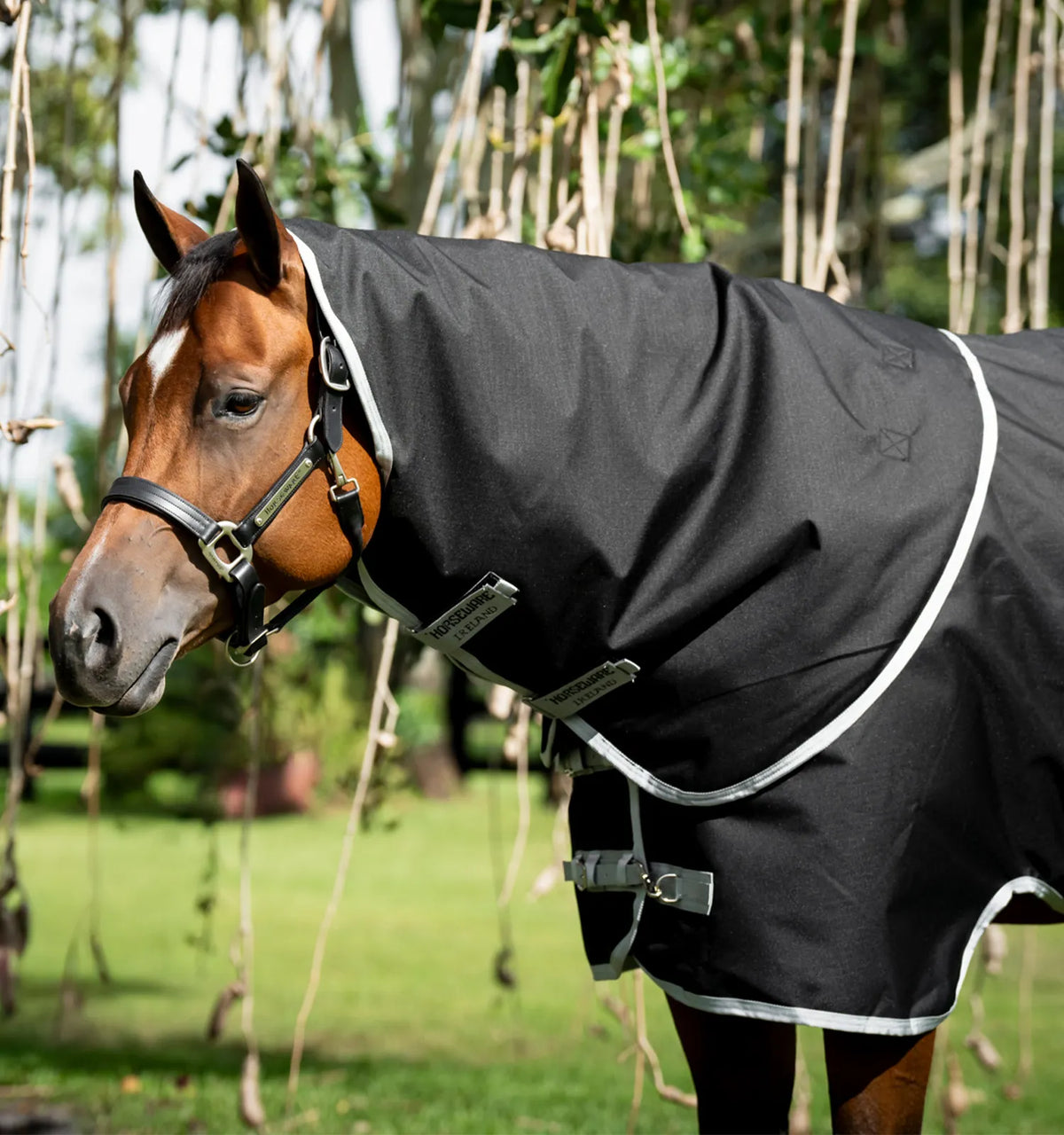 AMIGO® RIPSTOP 900D QUARTER HORSE TURNOUT HOOD 150G