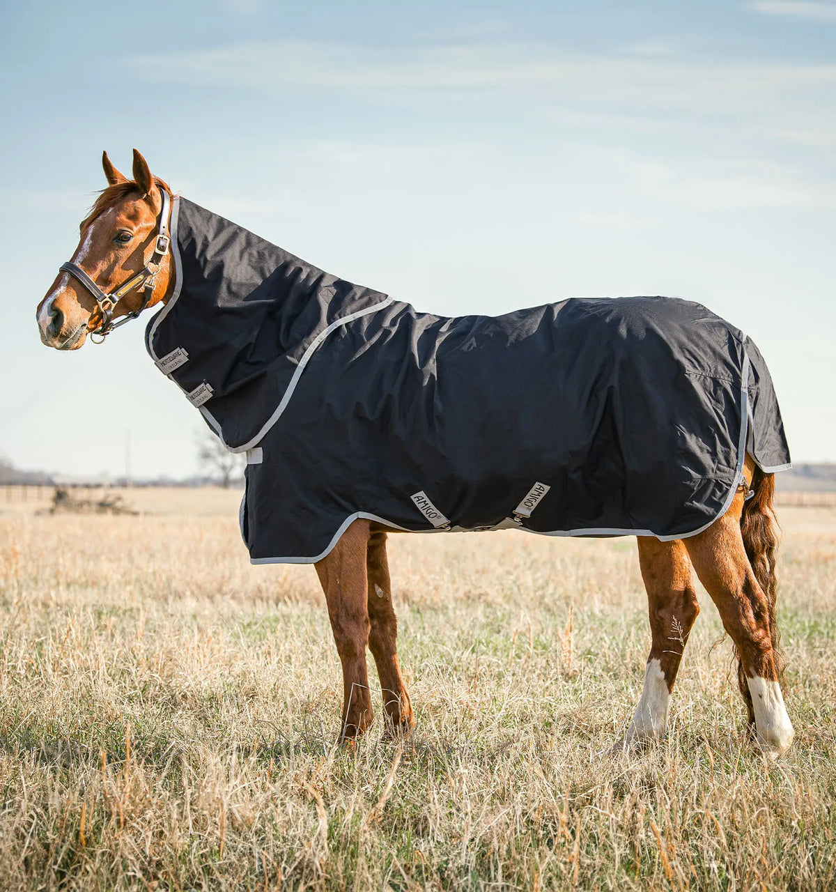 AMIGO® STOCK HORSE PLUS TURNOUT 0G