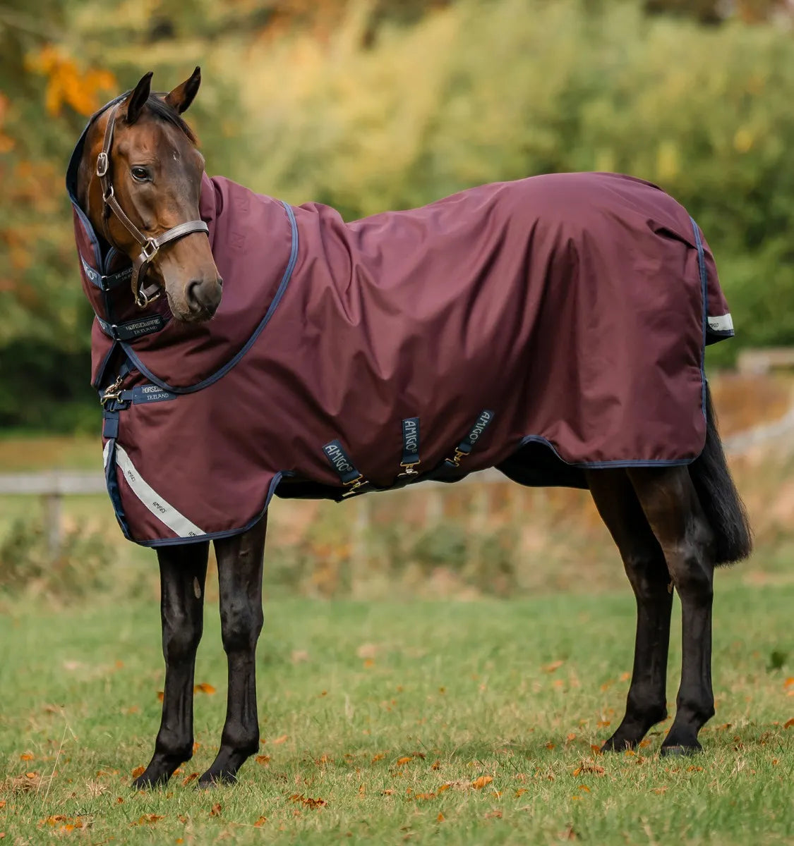 AMIGO® BRAVO 12 PLUS TURNOUT 100G