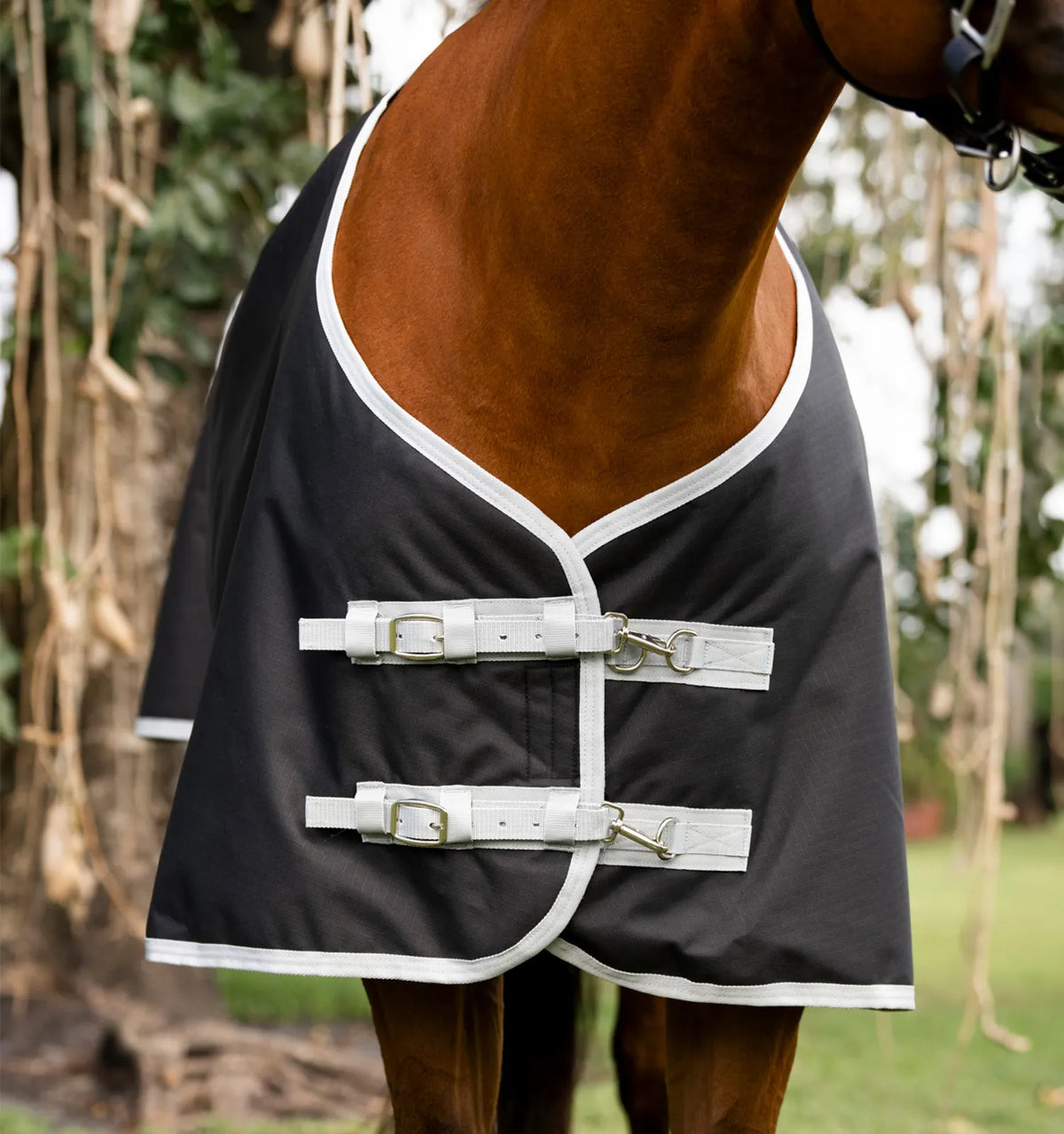AMIGO® RIPSTOP 900D QUARTER HORSE PLUS TURNOUT 0G