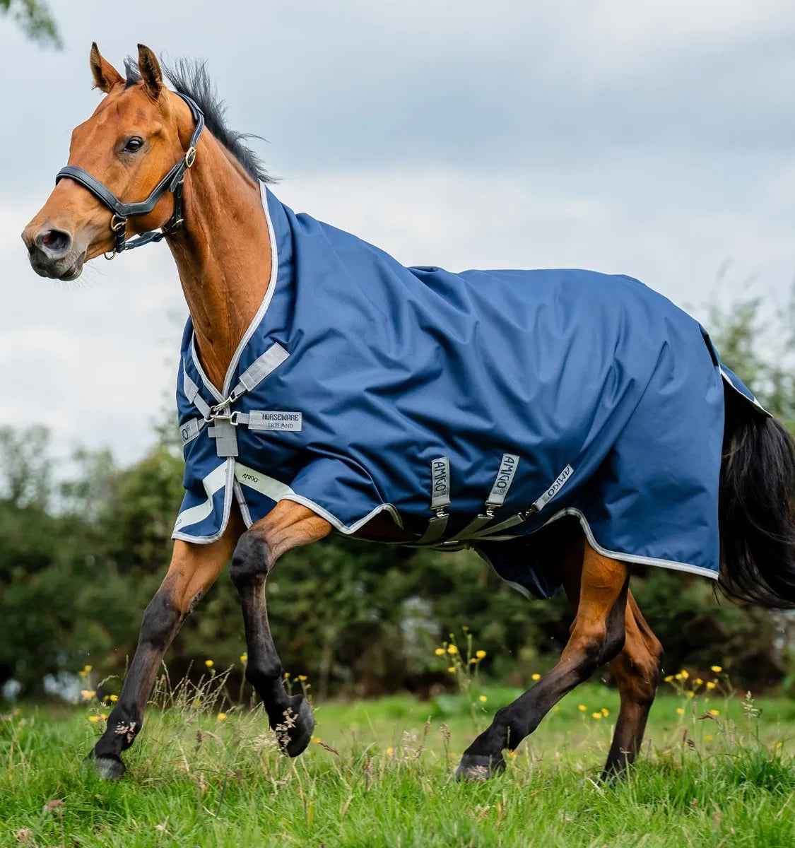 AMIGO® BRAVO 12 WUG TURNOUT 400G