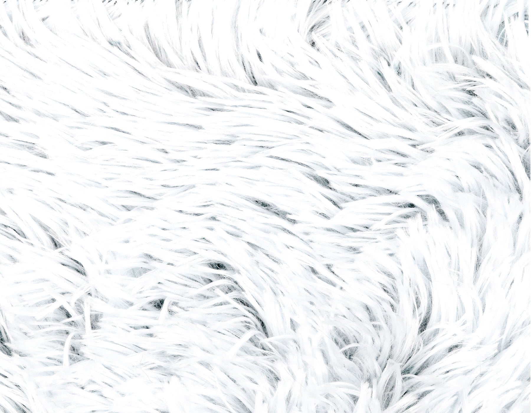 Arctic Shag Cozy Dog Mat, Ultra-Soft, Washable