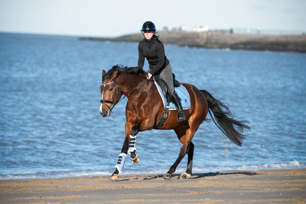 Azurine Browband