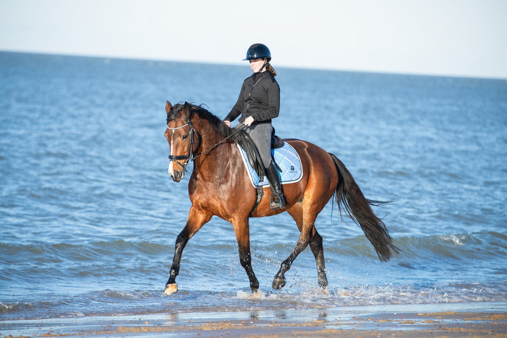 Azurine Saddle Pad Set