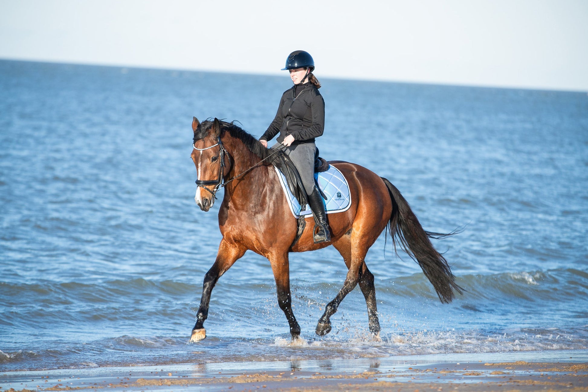 Azurine Browband
