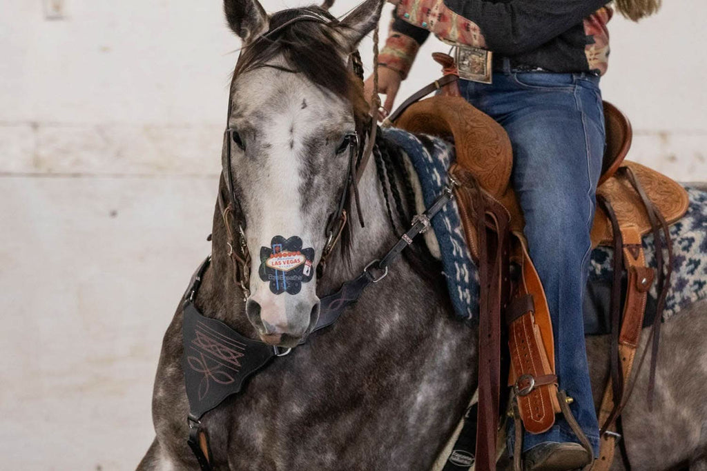 EquiBreathe™ Equine Nasal Patch - Vegas