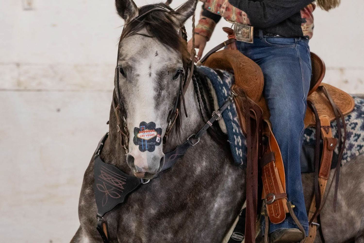 EquiBreathe™ Equine Nasal Patch - Vegas