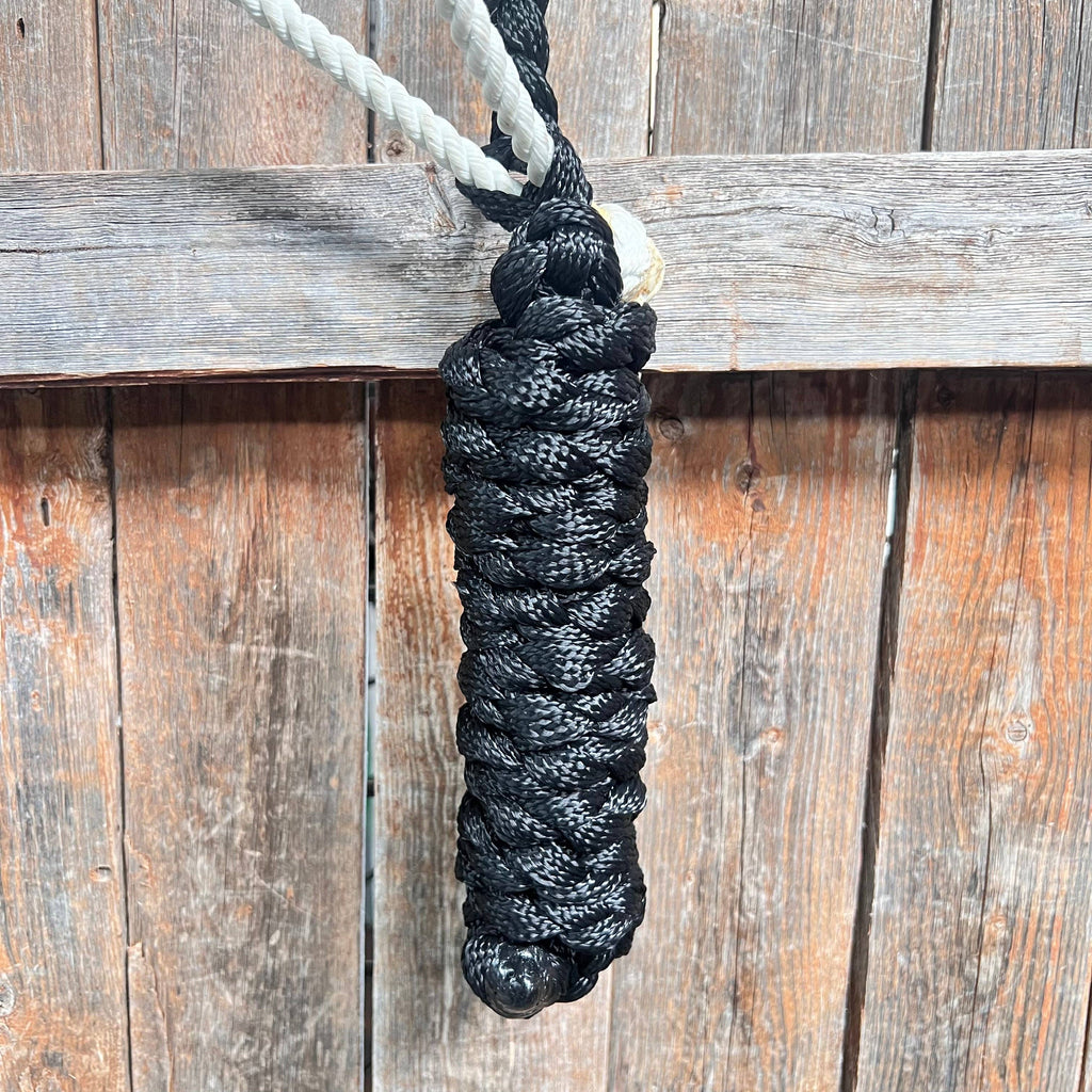 Black Mule Tape with Lariat Noseband Halter