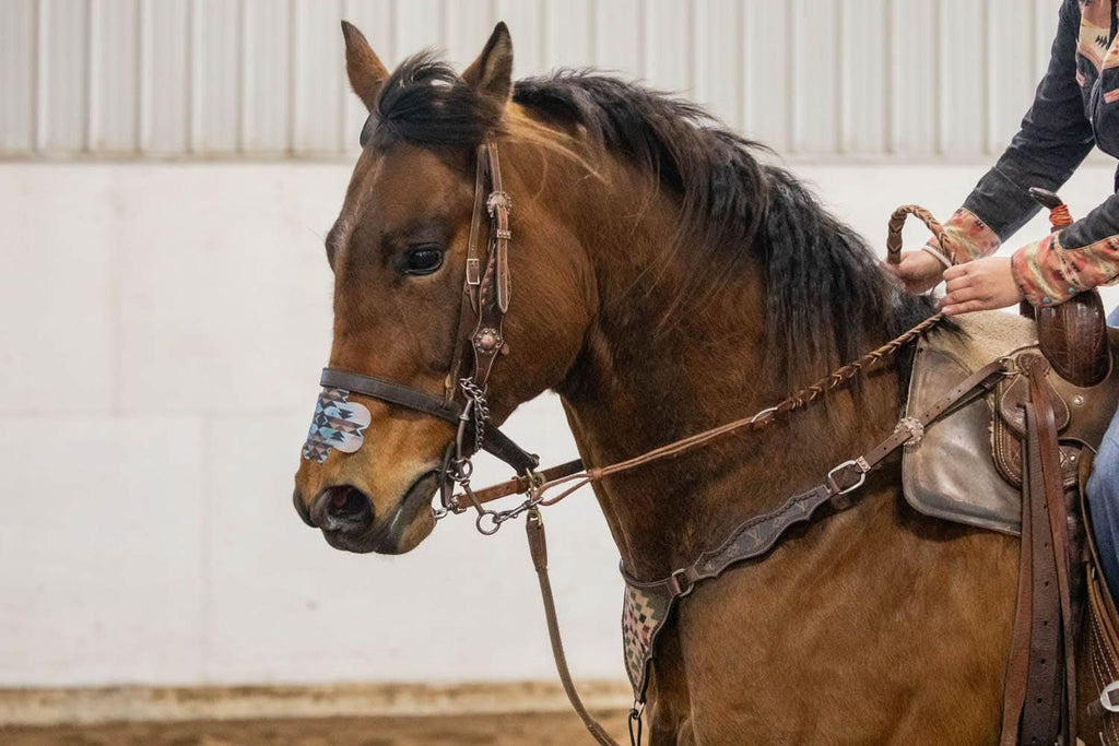 EquiBreathe™ Equine Nasal Patch - Aztec