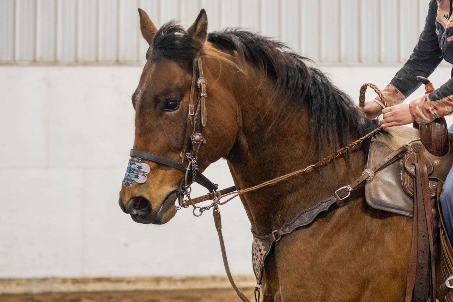 EquiBreathe™ Equine Nasal Patch - Aztec