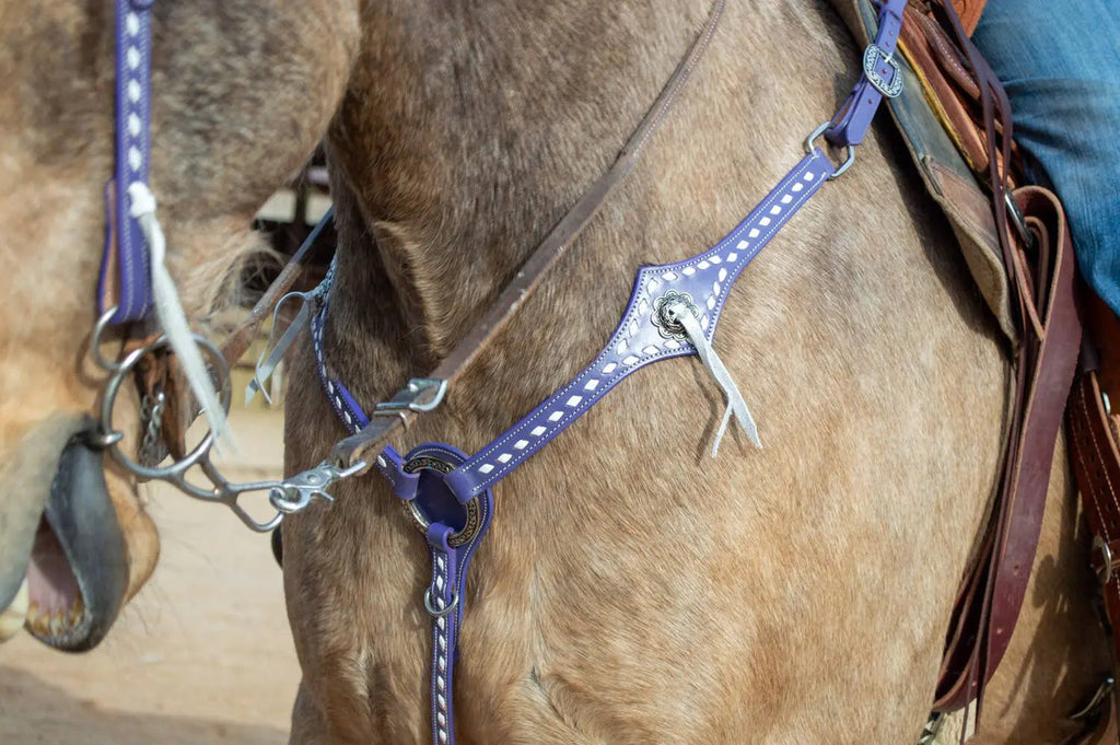 Buckstitchin’ Beauty Purple Tack Set