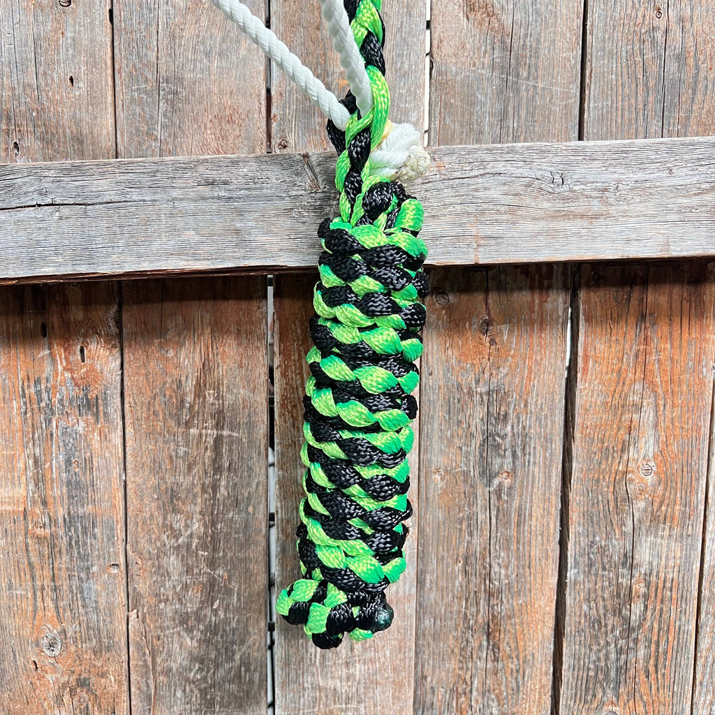Green and Black Mule Tape with Lariat Noseband Halter