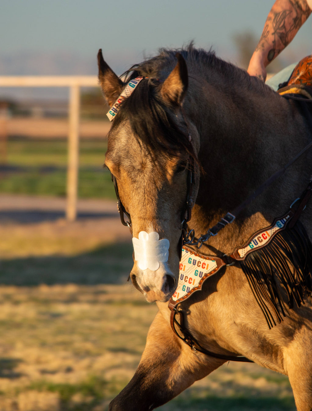 EquiBreathe™ Equine Nasal Patch - White