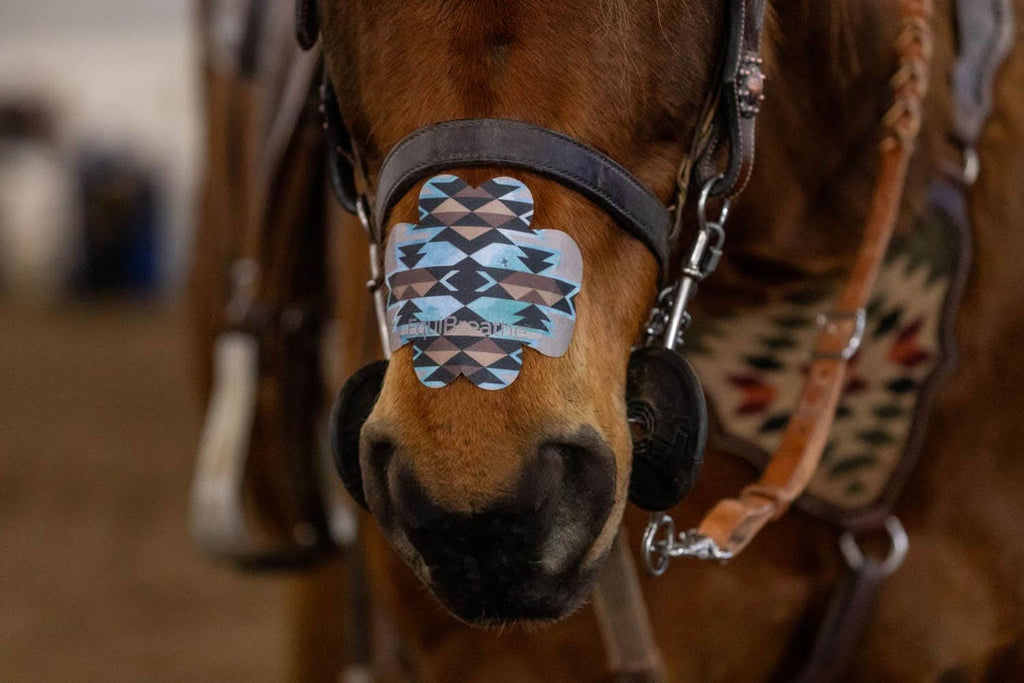 EquiBreathe™ Equine Nasal Patch - Aztec