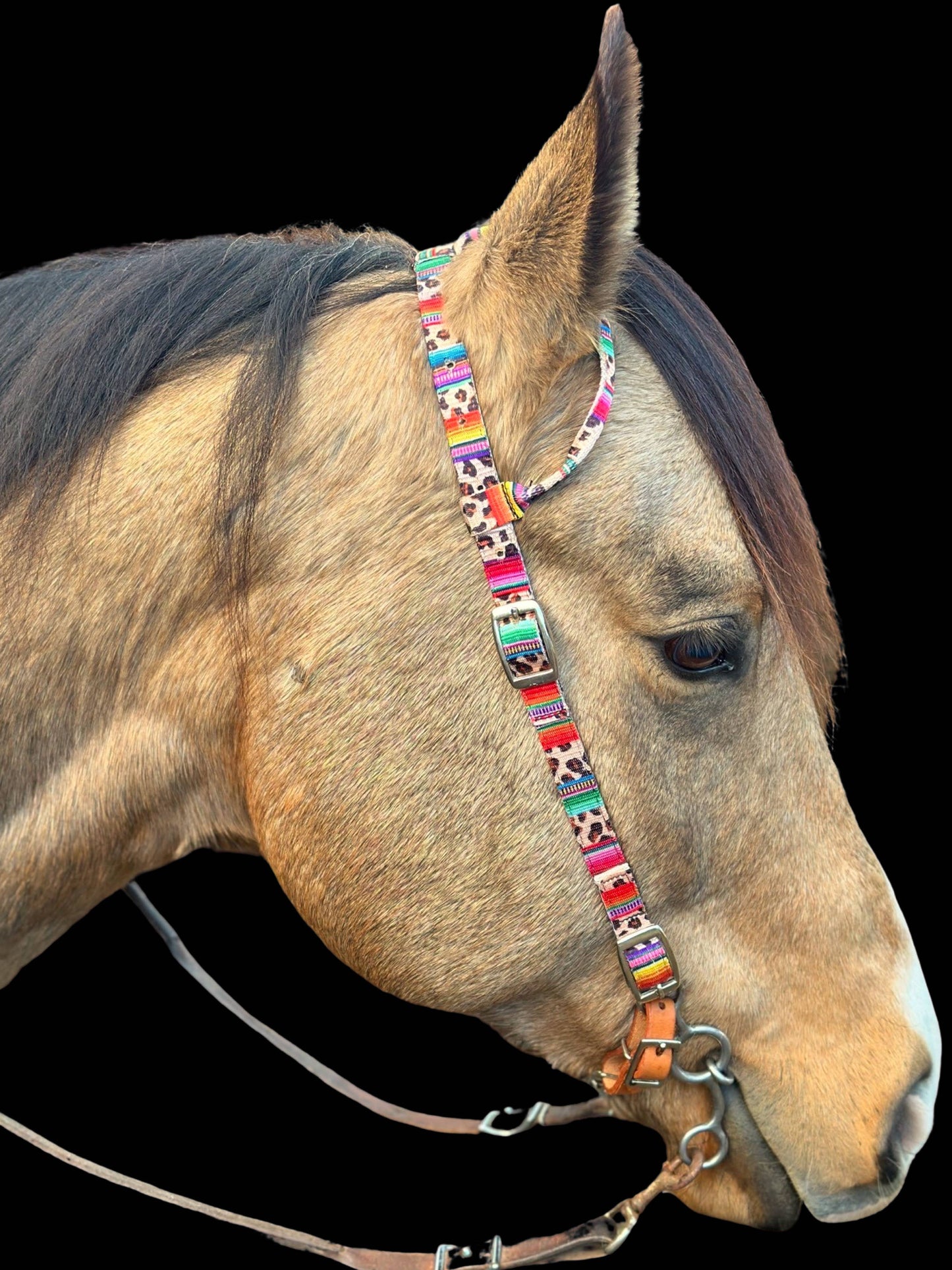 Nylon One Ear Headstall