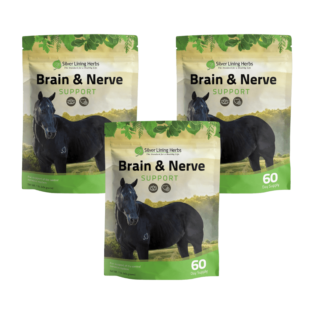 Brain & Nerve Support for Horses