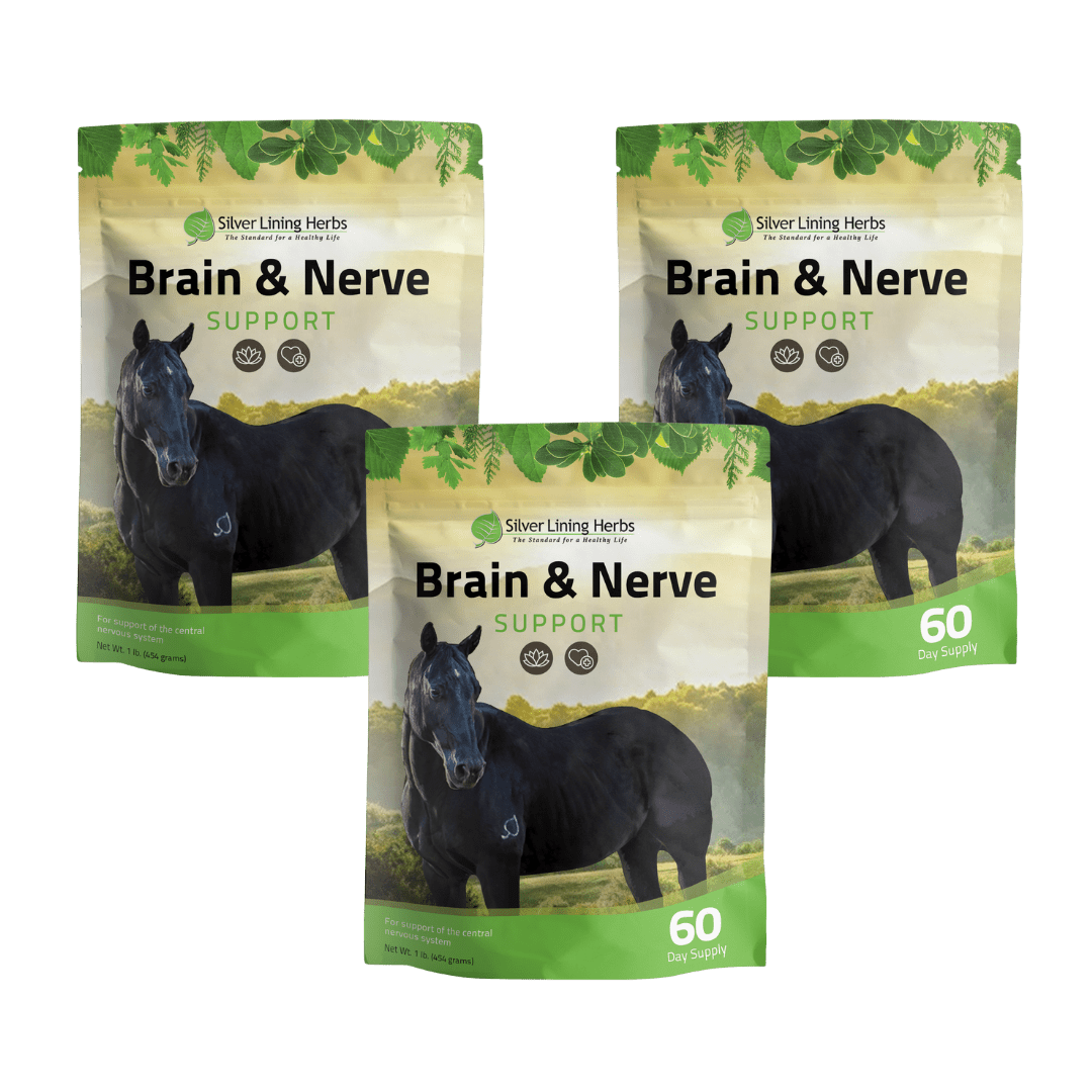 Brain & Nerve Support for Horses