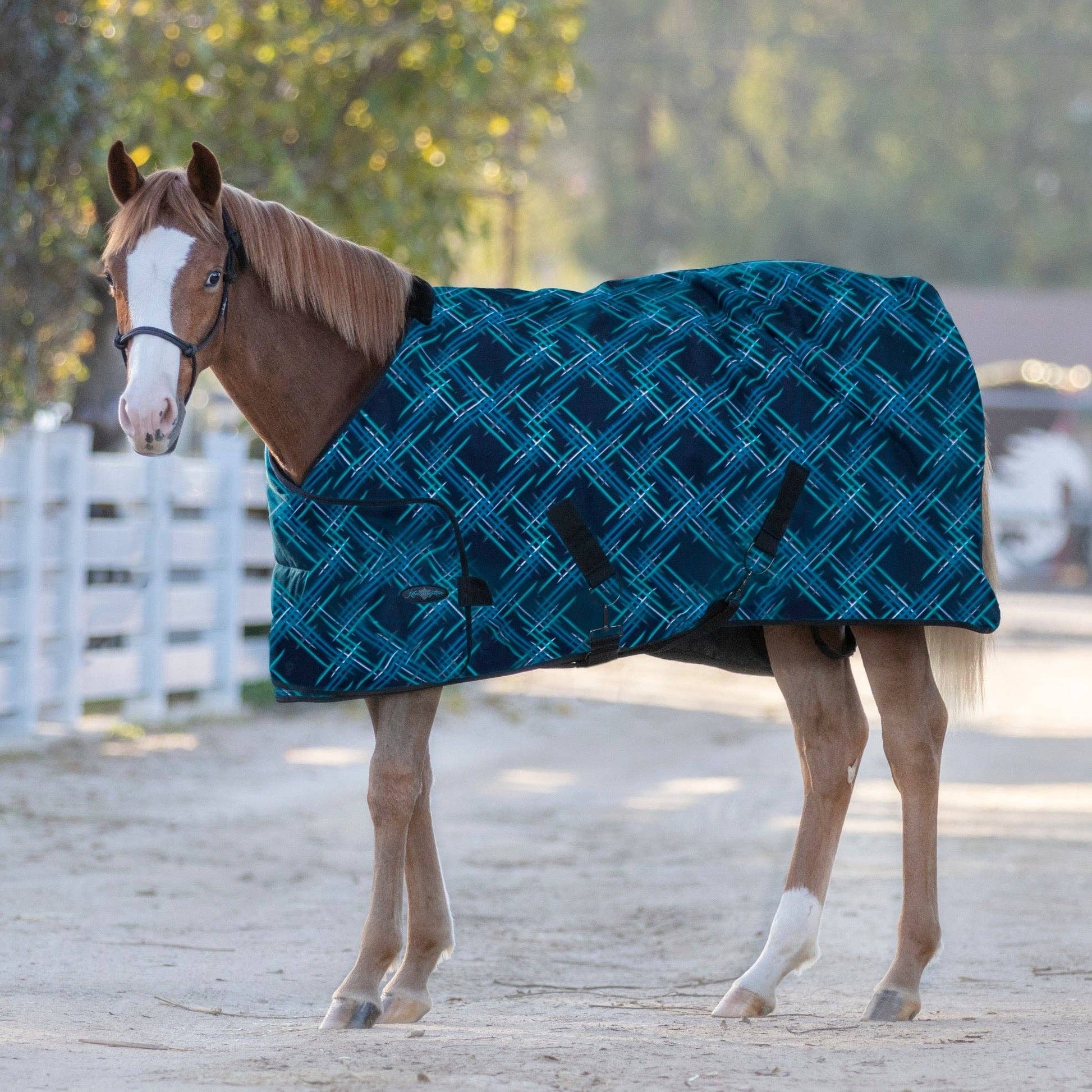 1200Denier Adjustable Weanling "180G" Medium Weight Waterproof & Breathable Winter Turnout