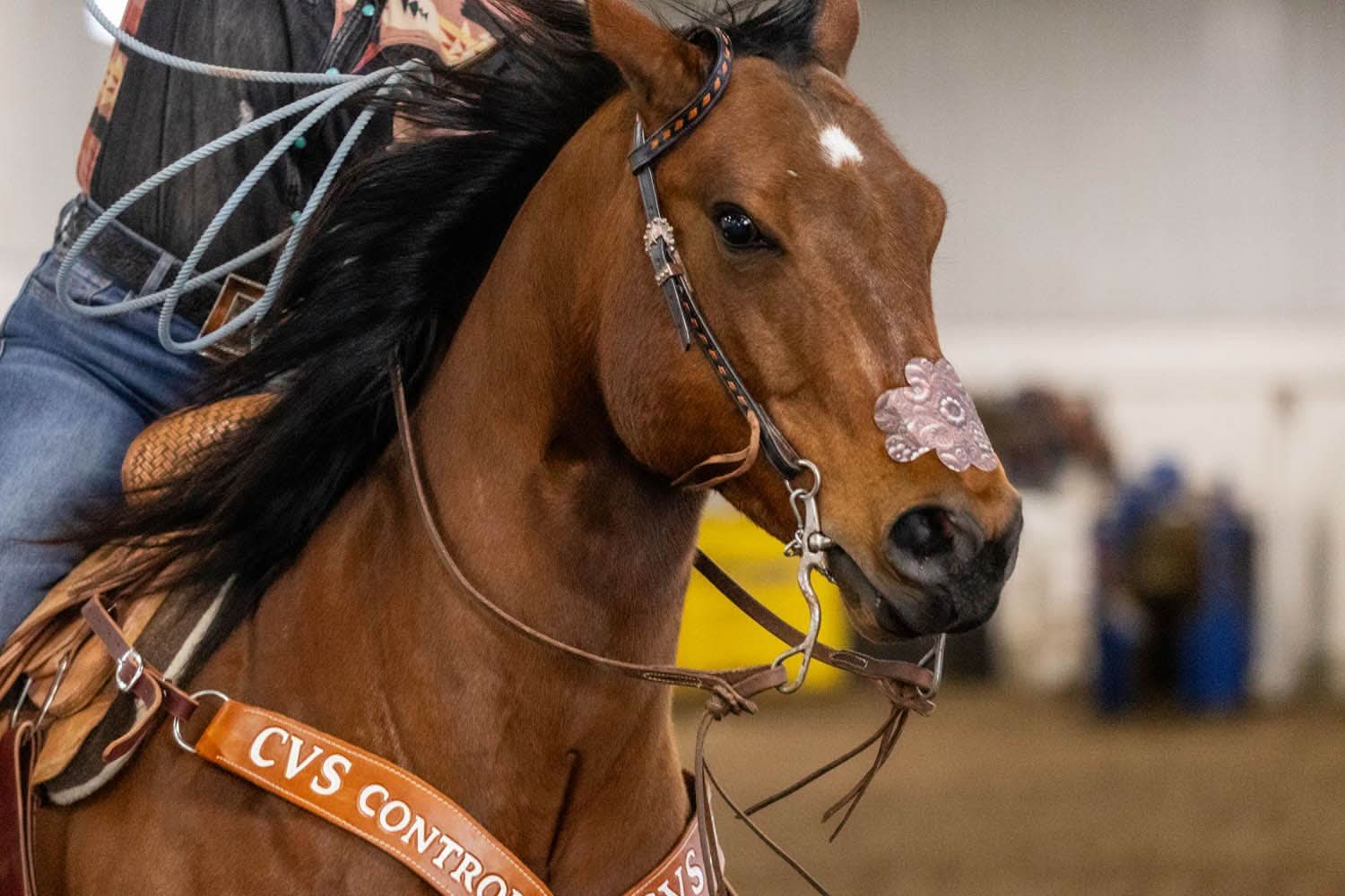 EquiBreathe™ Equine Nasal Patch - Tooled Leather