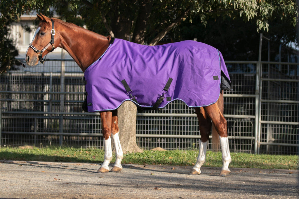 1200Denier Horse "80G" Ultra Light Weight Waterproof & Breathable Winter Turnout