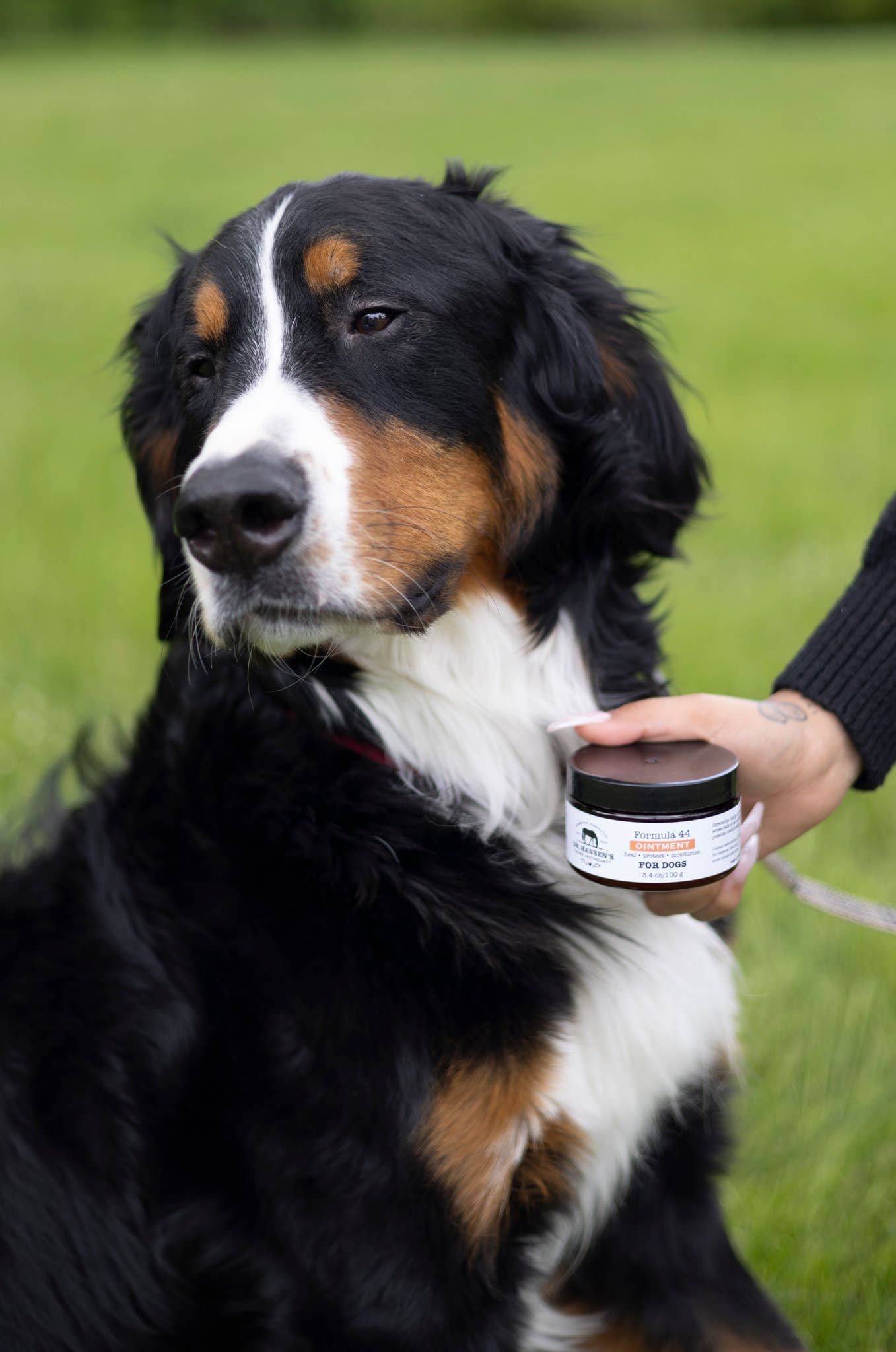 Formula 44 Ointment for Dogs