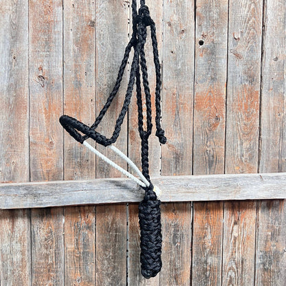 Black Mule Tape with Lariat Noseband Halter