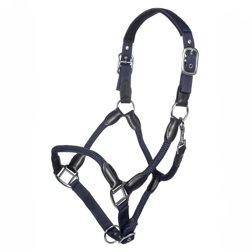 HKM Carlotta Halter