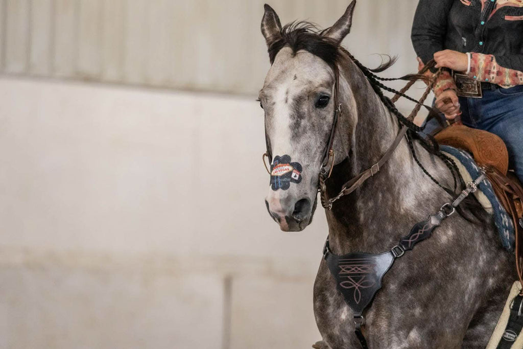 EquiBreathe™ Equine Nasal Patch - Vegas