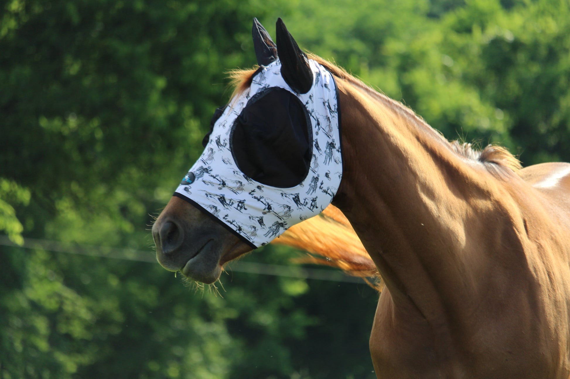 Cowboy Toile Fly Mask