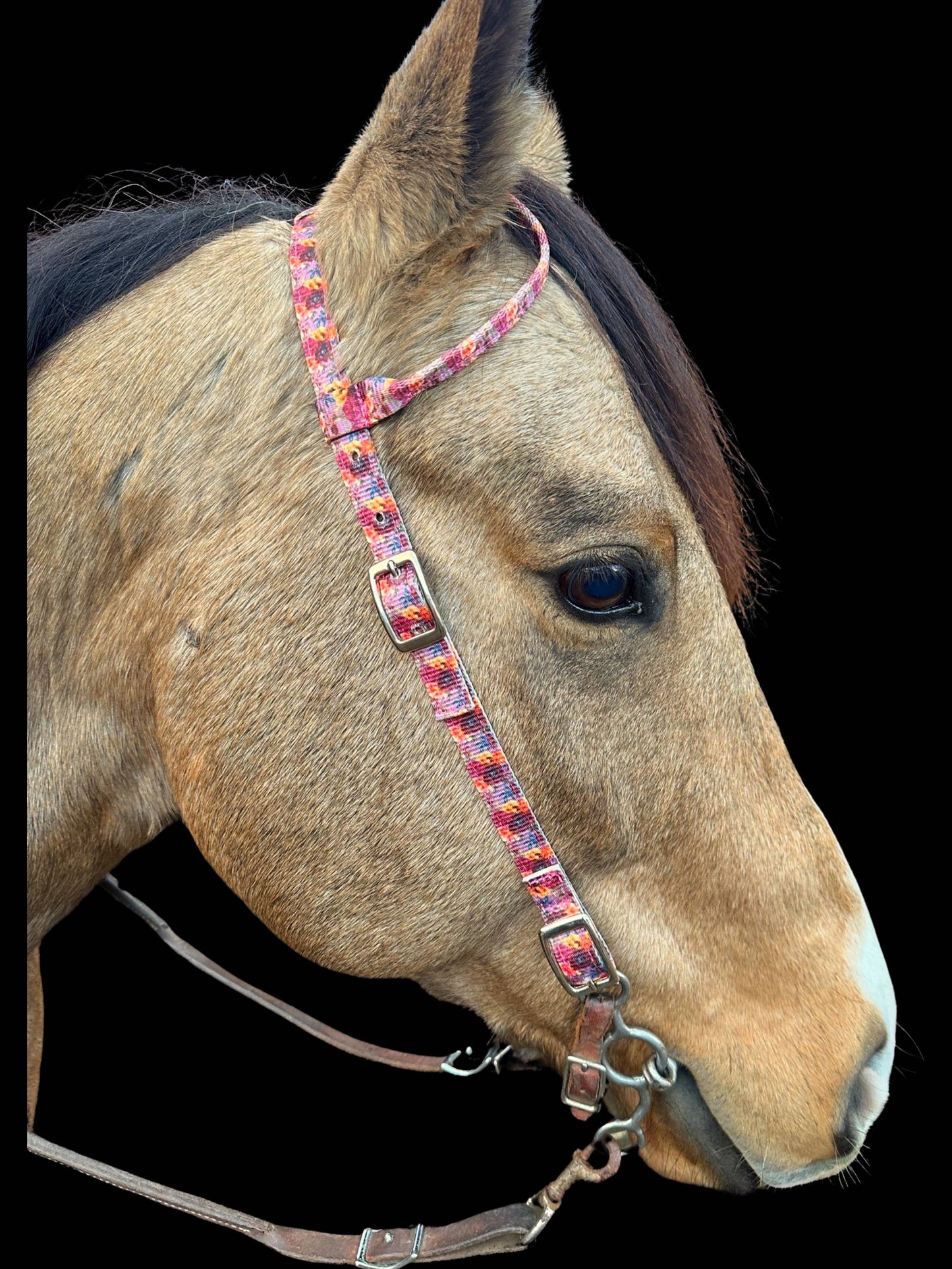 Nylon One Ear Headstall