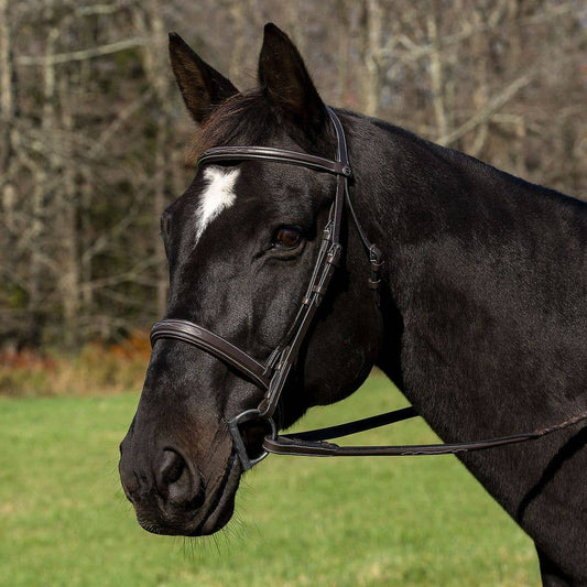 Henri de Rivel Pro Mono Crown Bridle – Padded Wide Noseband with Fancy Stitching & Laced Reins