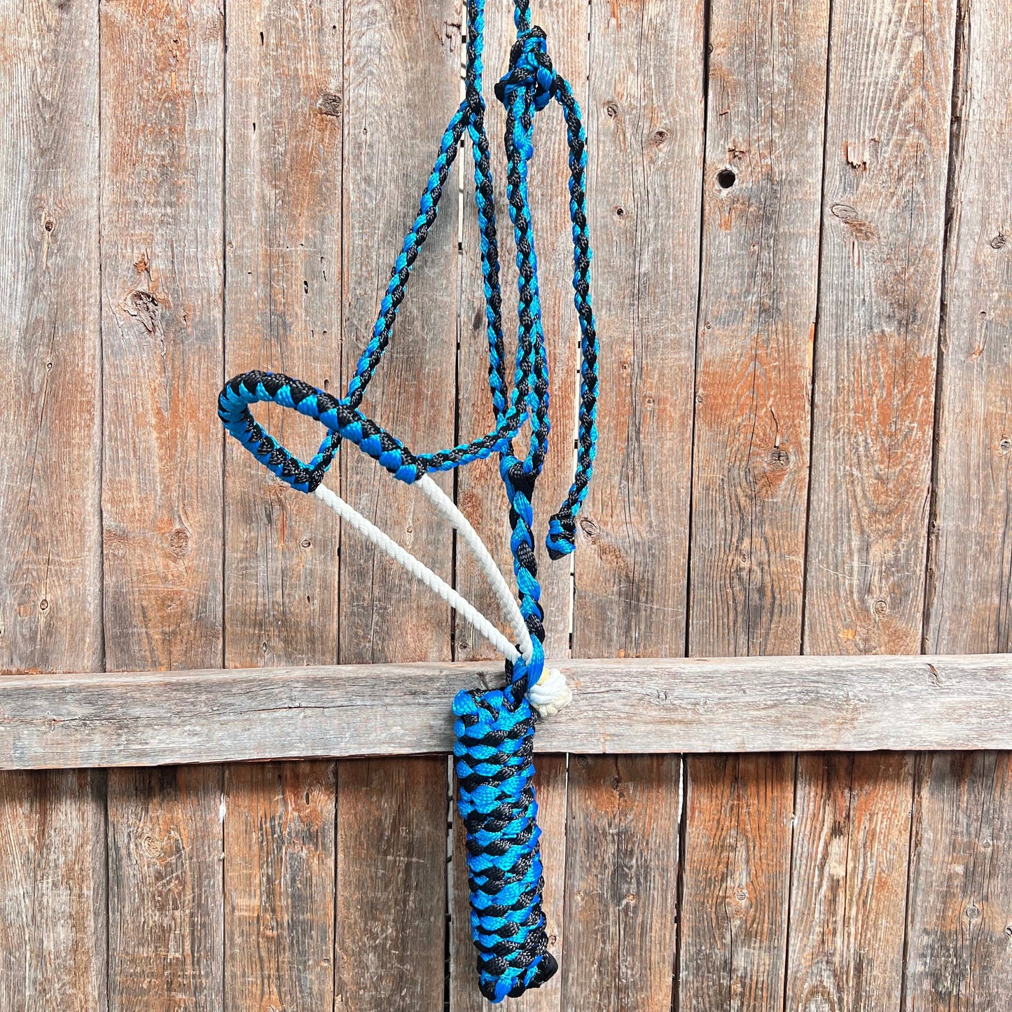 Blue and Black Mule Tape with Lariat Noseband Halter