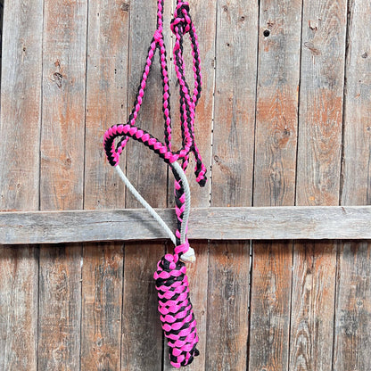 Pink and Black Mule Tape with Lariat Noseband Halter