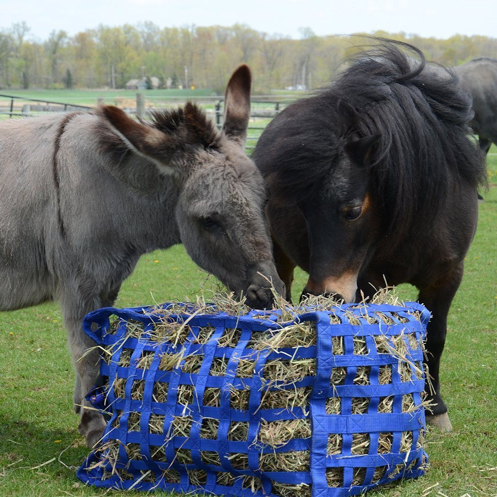 Natural Grazer 4-Sided Slow Feeder Horse Hay Bag – 1.75" Square Openings – Limited Hay Access | Patented Design – 1-Year Warranty