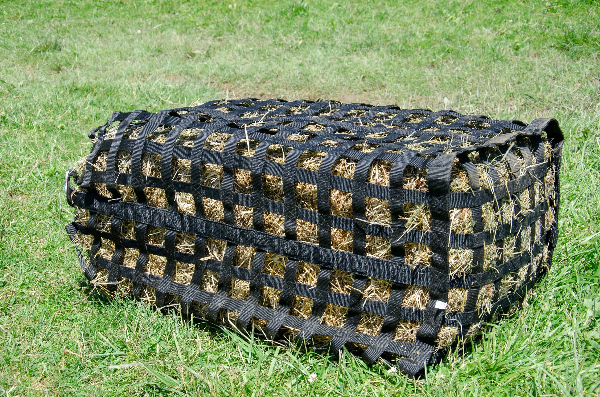 Derby Originals Go Around XL All-Sided Slow Feeder Horse Hay Bag – 1.75" Square Openings – Restricted Feeding | Patented Design – 1-Year Warranty