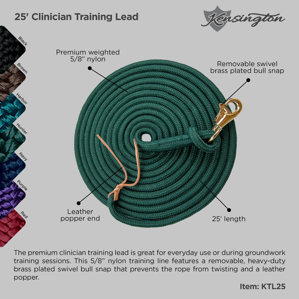 15' Clinician Training Lead Solid