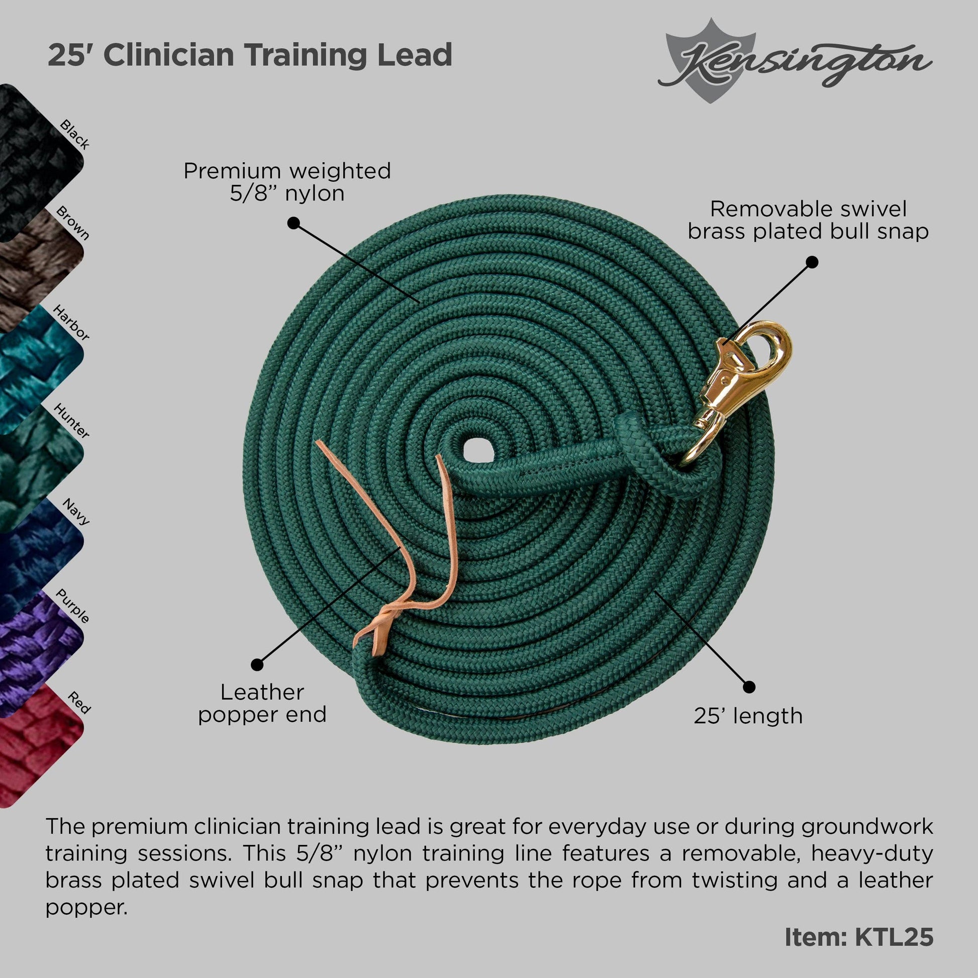 15' Clinician Training Lead Solid