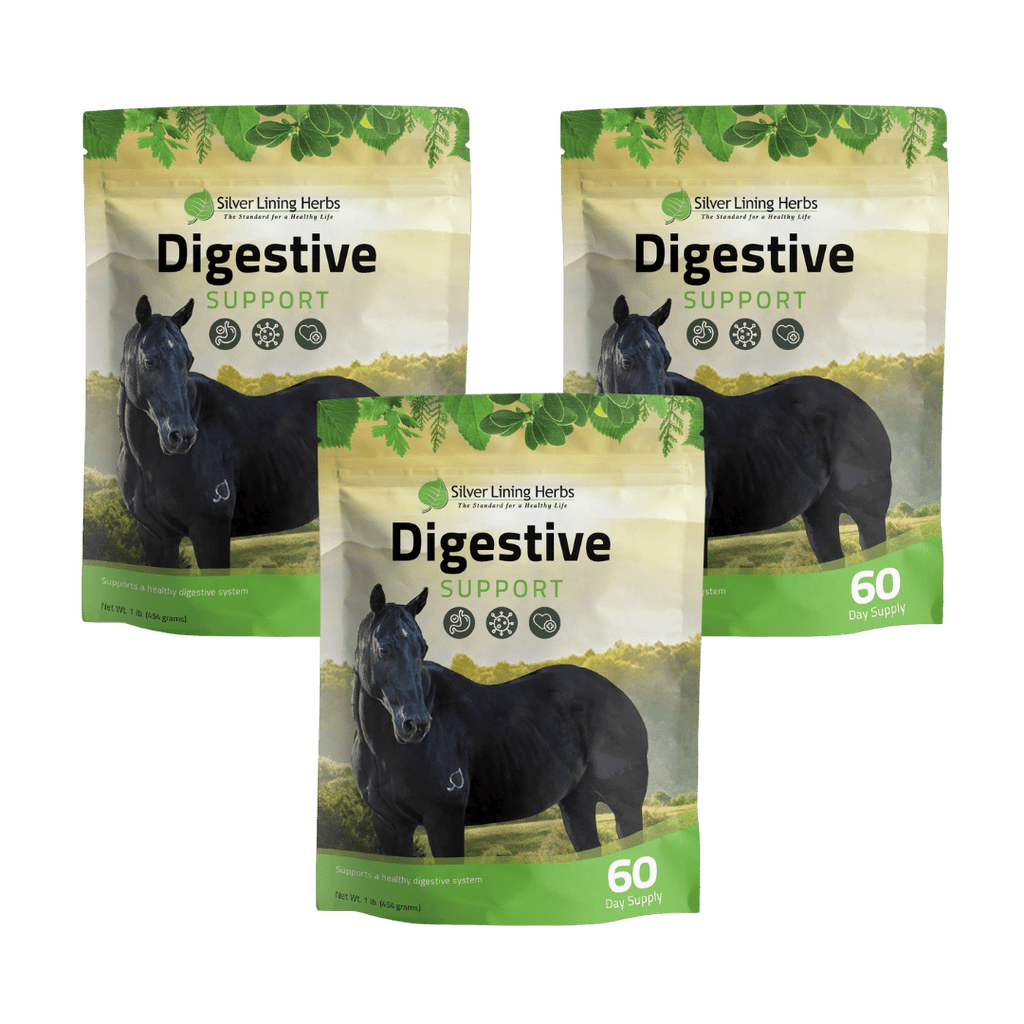 Digestive Support for Horses