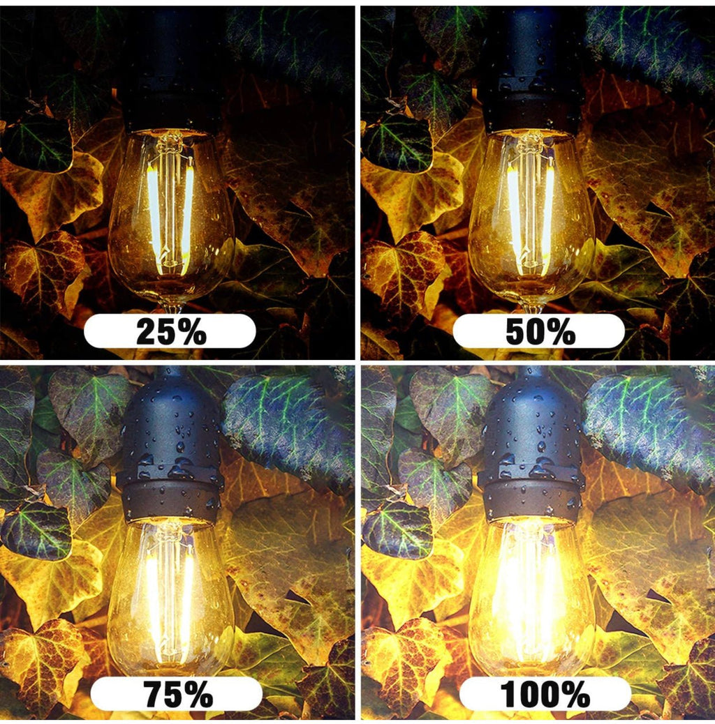 Dimmer with Remote for Our Ambience Pro LED String Lights - Commercial Grade Dimmer Rated at 150 Watts